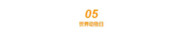 10月实体企业营销热点世界动物日1