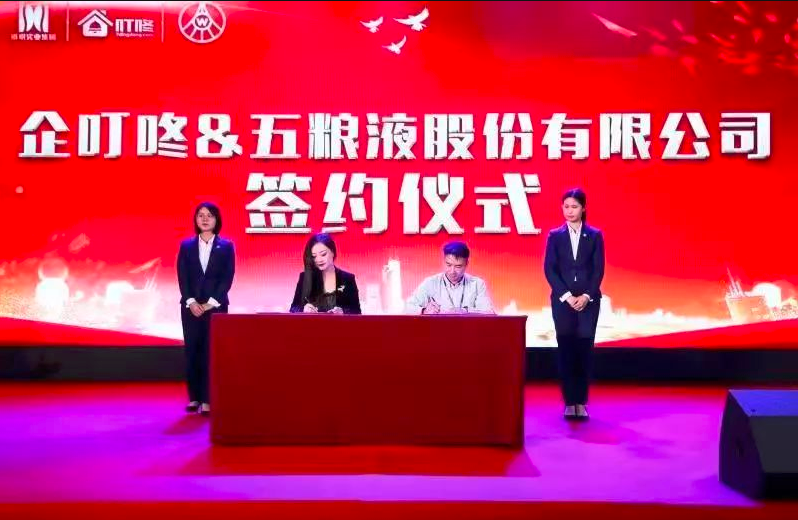 企叮咚于五粮液股份战略合作
