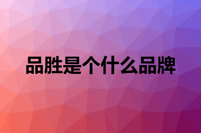 品胜&nbsp;PISEN是个什么品牌，这个品牌怎么样？
