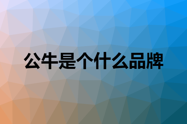 公牛&nbsp;BULL是个什么品牌，这个品牌怎么样？