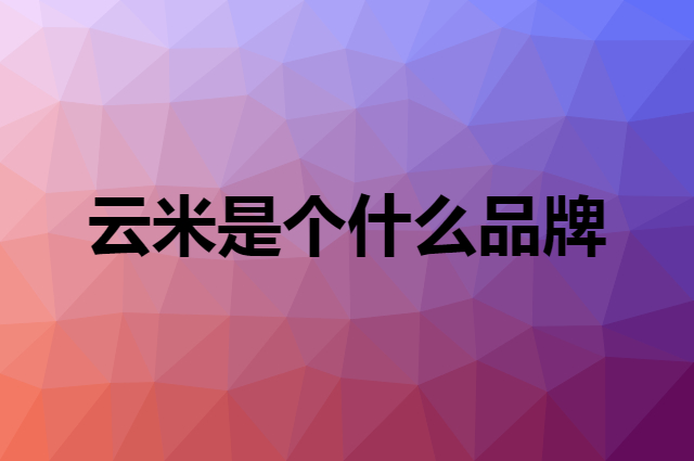 云米&nbsp;VIOMI是个什么品牌，这个品牌怎么样？