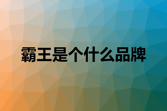 霸王&nbsp;BAWANG是个什么品牌，这个品牌怎么样？