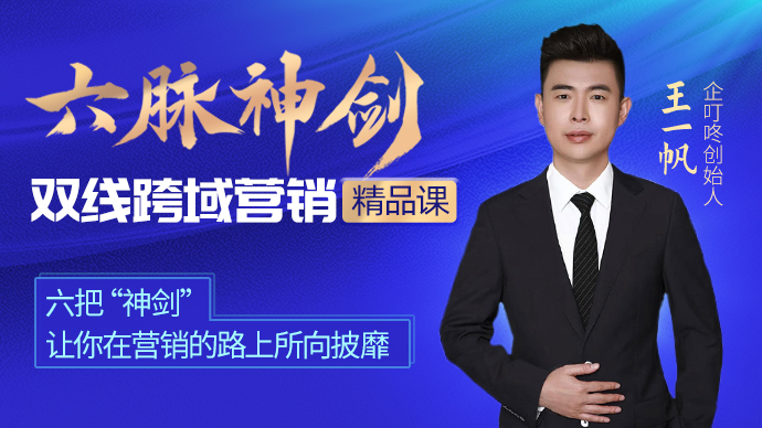 企叮咚六脉神剑营销精品课程