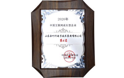 2020年中国互联网成长型企业20强